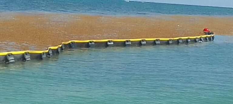 Beach-Trotters-Barreras-Mursargaz_2023-07_2