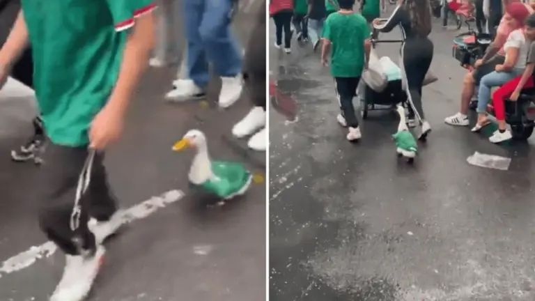 ¿Quién es Merlín, el pato mundialista que conquistó el Mundial 2026?