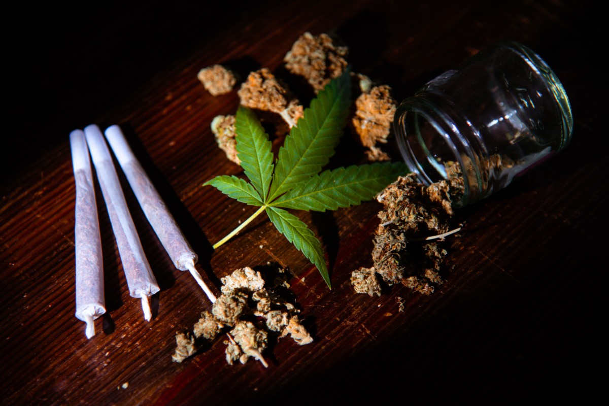 Consumir marihuana con frecuencia podría aumentar los niveles de la hormona del estrés, según estudio