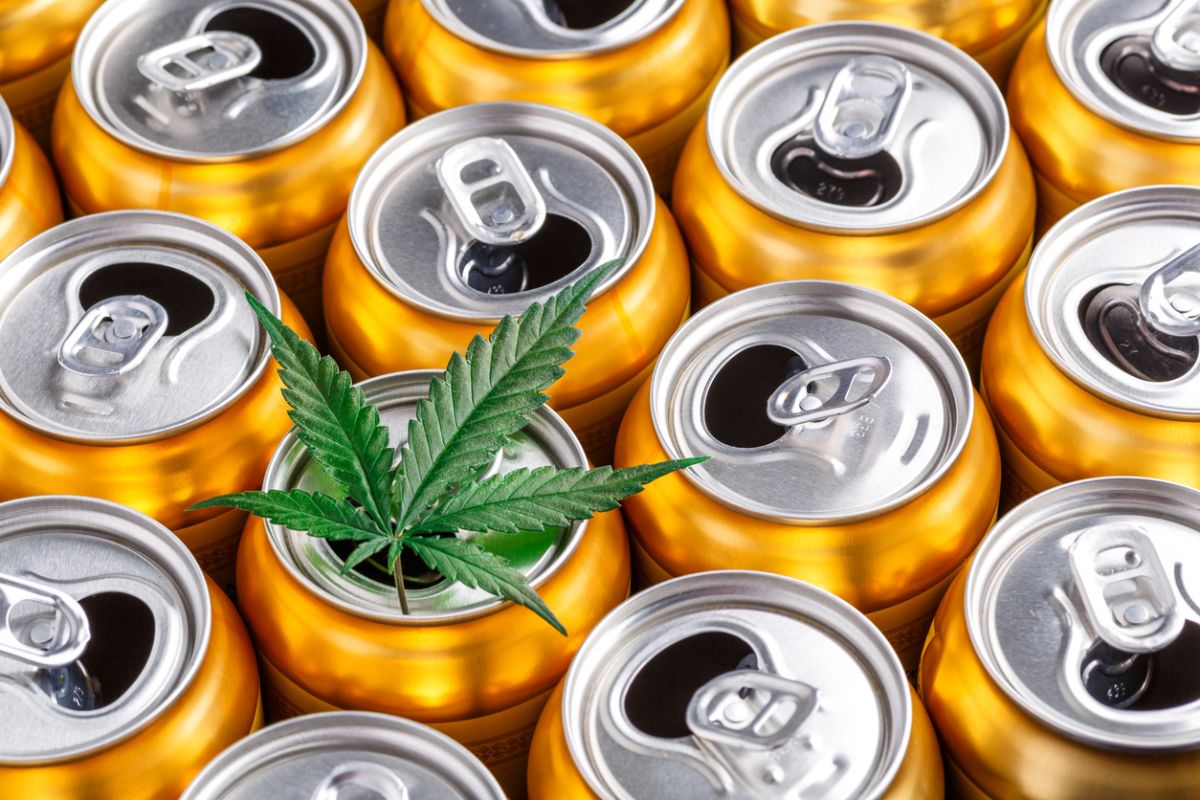 Crecen las bebidas con cannabis y médicos alertan por el riesgo para niños y adolescentes