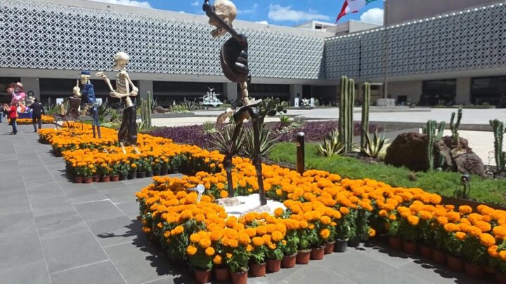 El Alfeñique de Toluca llega a San Lázaro y convierte el azúcar en arte