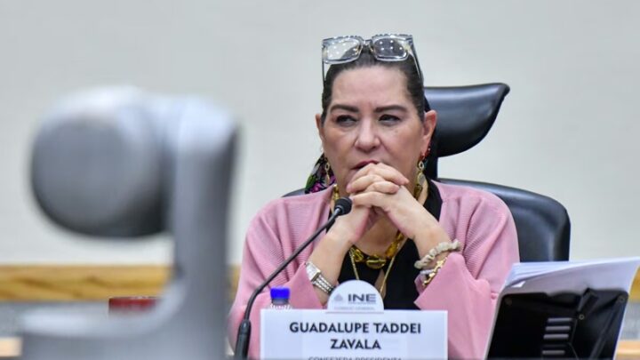 Taddei respalda investigación de la ASF por contratos del INE