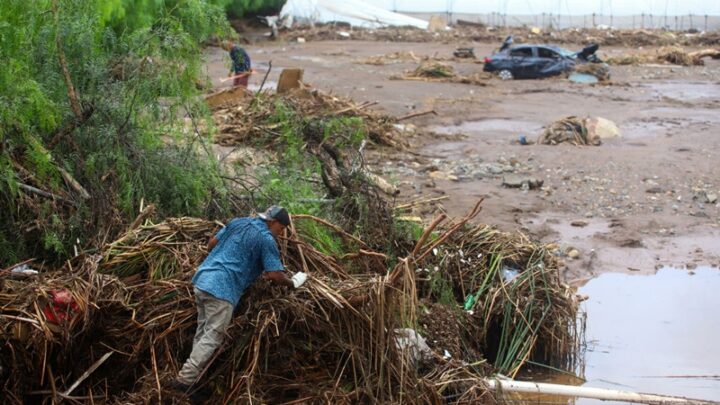 Sheinbaum anuncia apoyos para damnificados por Rachel en Baja California